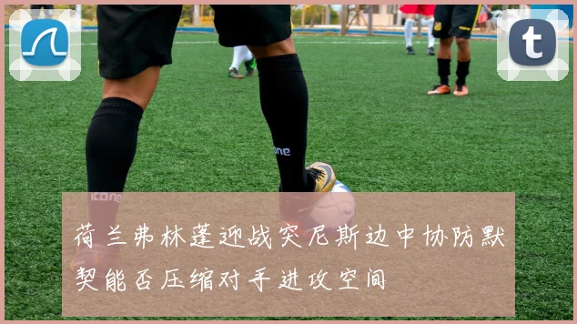 荷兰弗林蓬迎战突尼斯边中协防默契能否压缩对手进攻空间