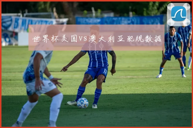 世界杯美国vs澳大利亚犯规数据