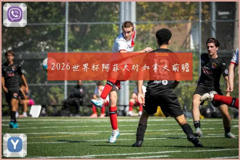 2026世界杯阿菲夫对加拿大前瞻