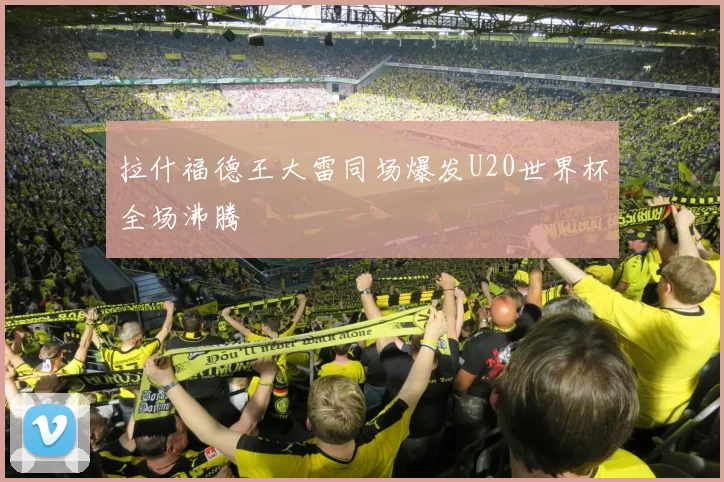 拉什福德王大雷同场爆发U20世界杯全场沸腾