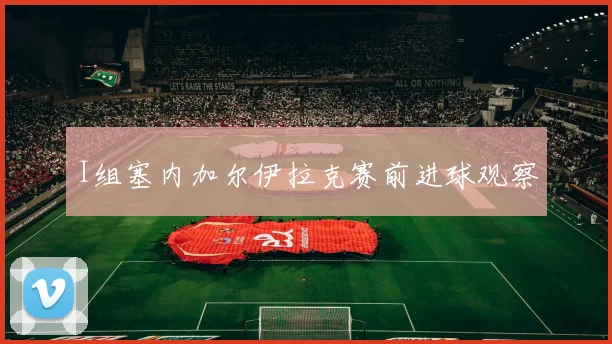 I组塞内加尔伊拉克赛前进球观察