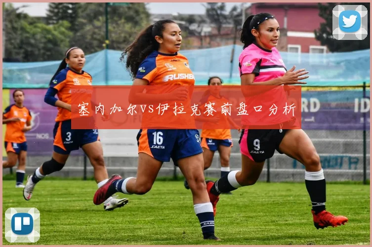 塞内加尔vs伊拉克赛前盘口分析