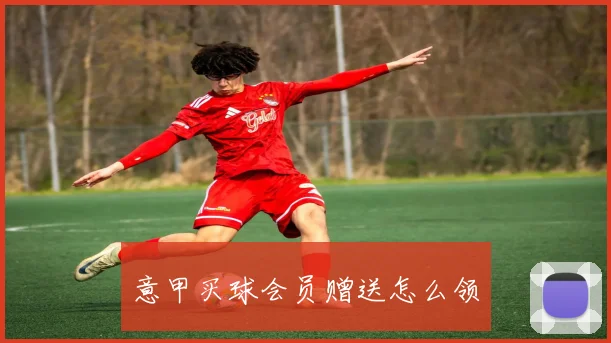 意甲买球会员赠送怎么领